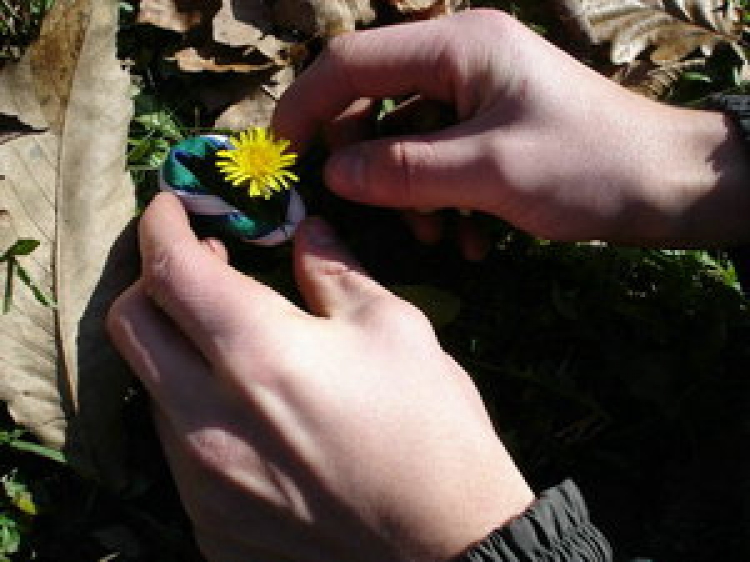 Zmagovalna fotka iz fotografske delavnice (Tadej, Novo mesto 1)