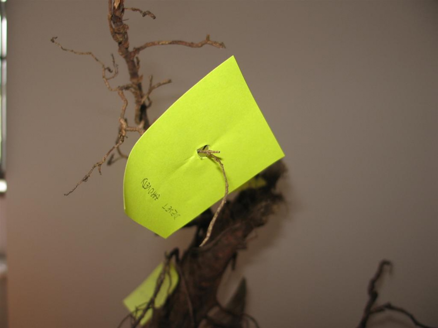 Svet ZSKSS- 12. in 13. november, Ilirska Bistrica