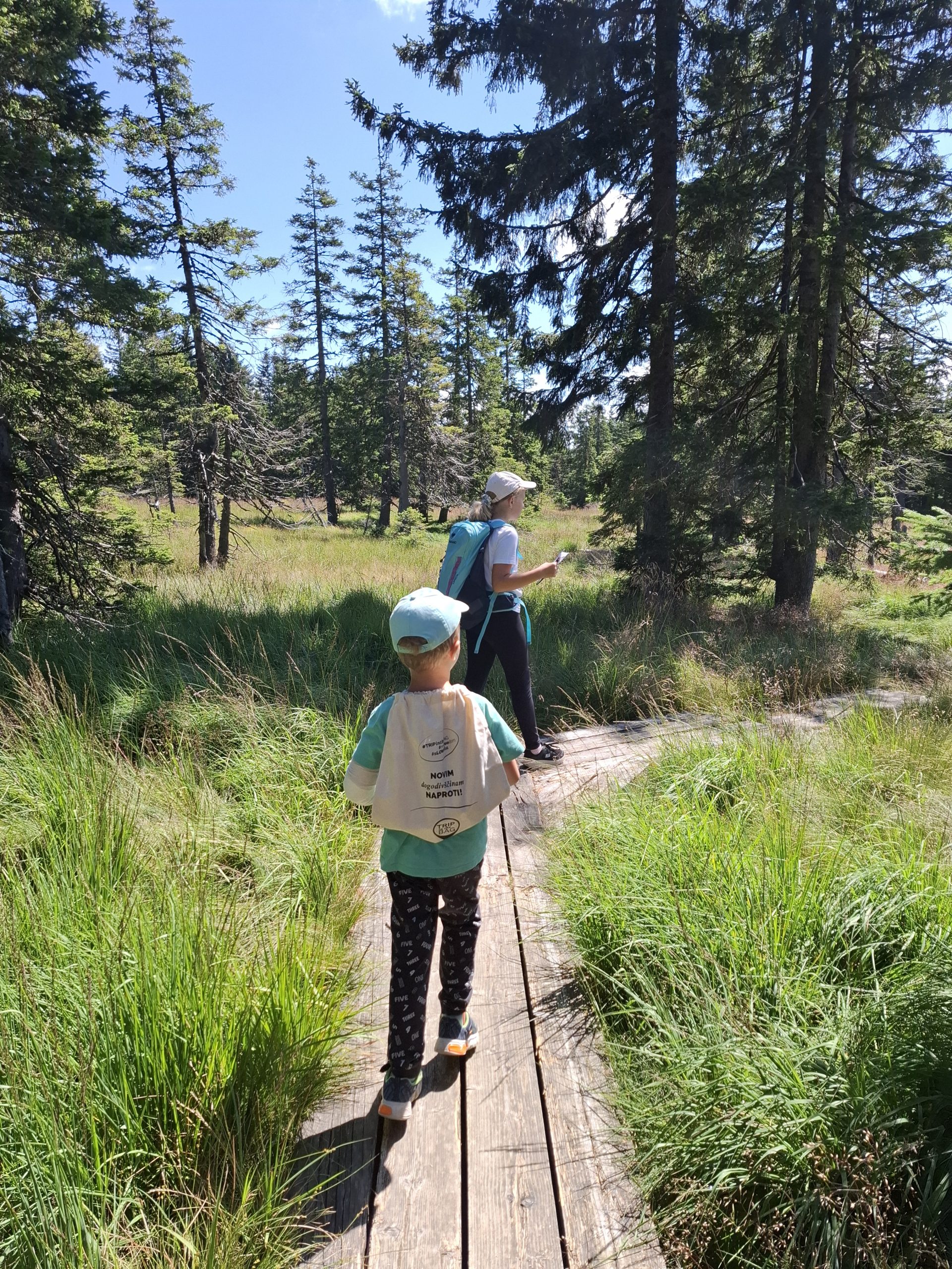 Poletna popotovanja programa Zdravo!