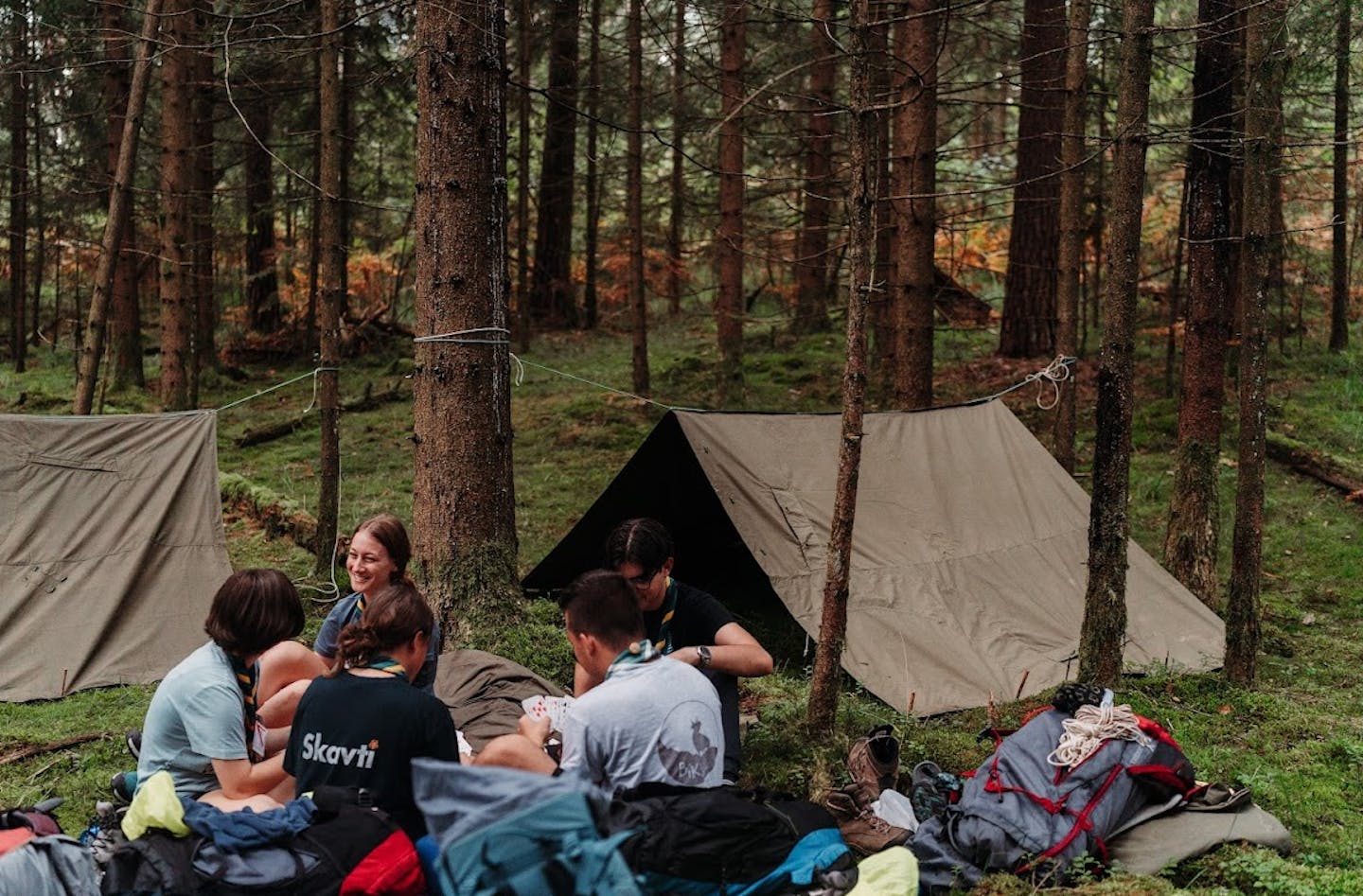 Young people, camping in the woods