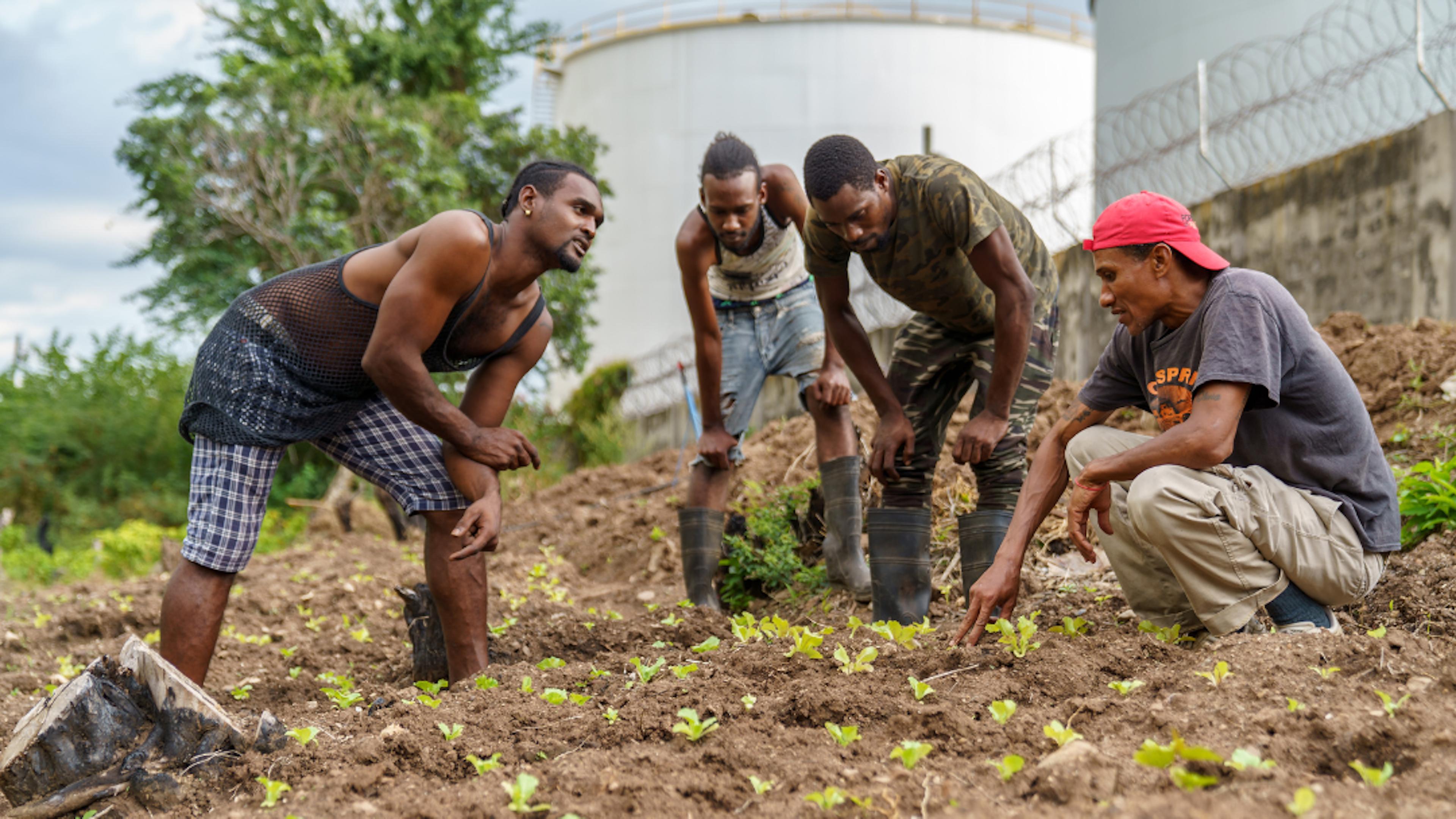 People on a field looking at crops