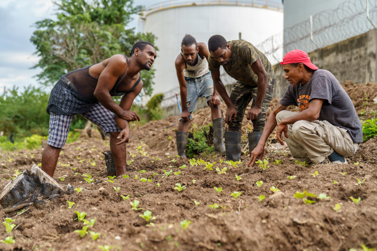Community Development | Jamaica
