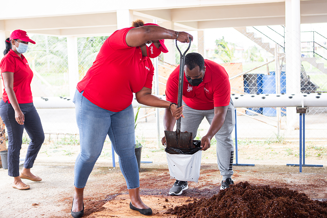Digicel staff digging a garden