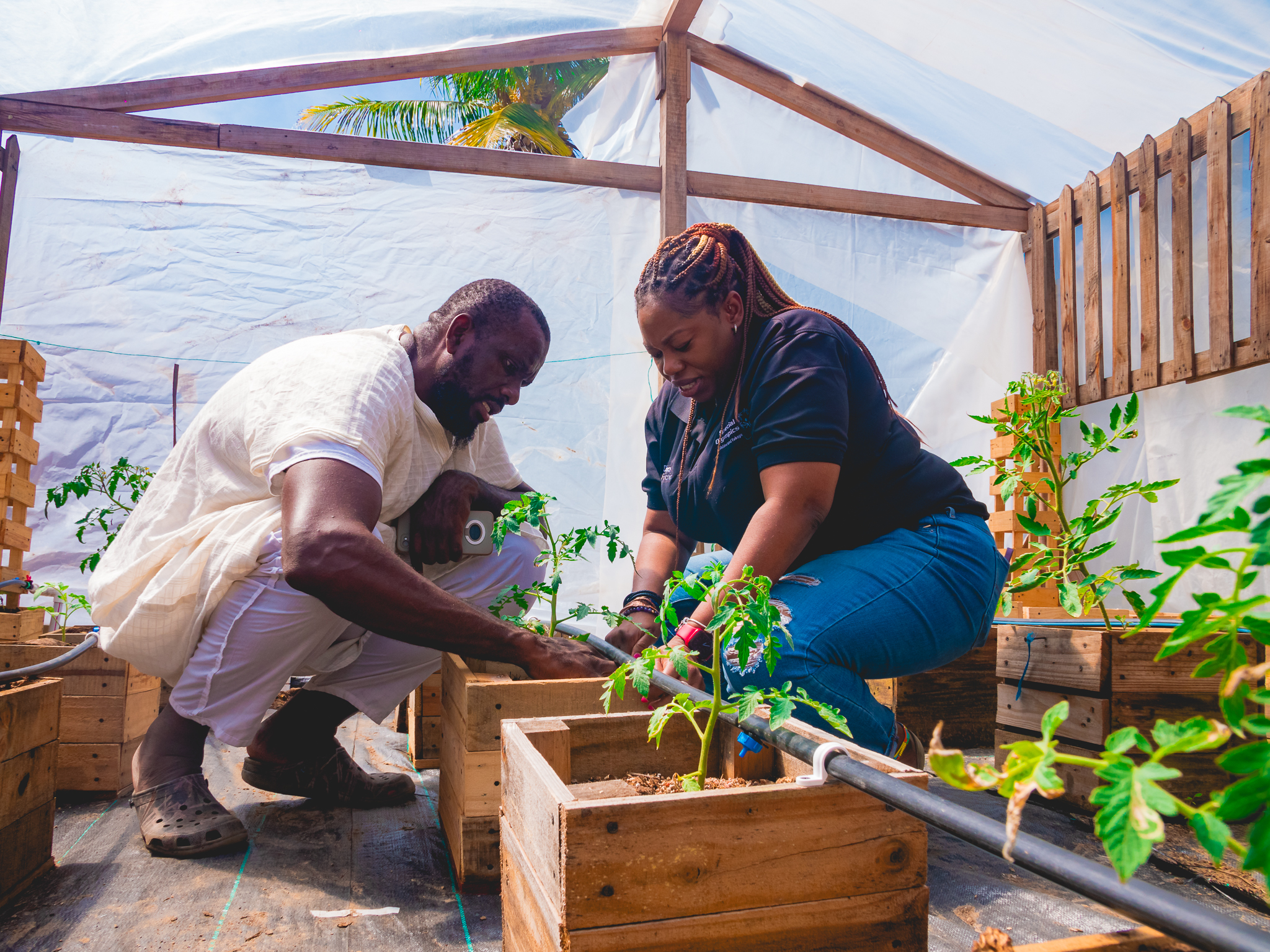 Hydroponics using Pallets