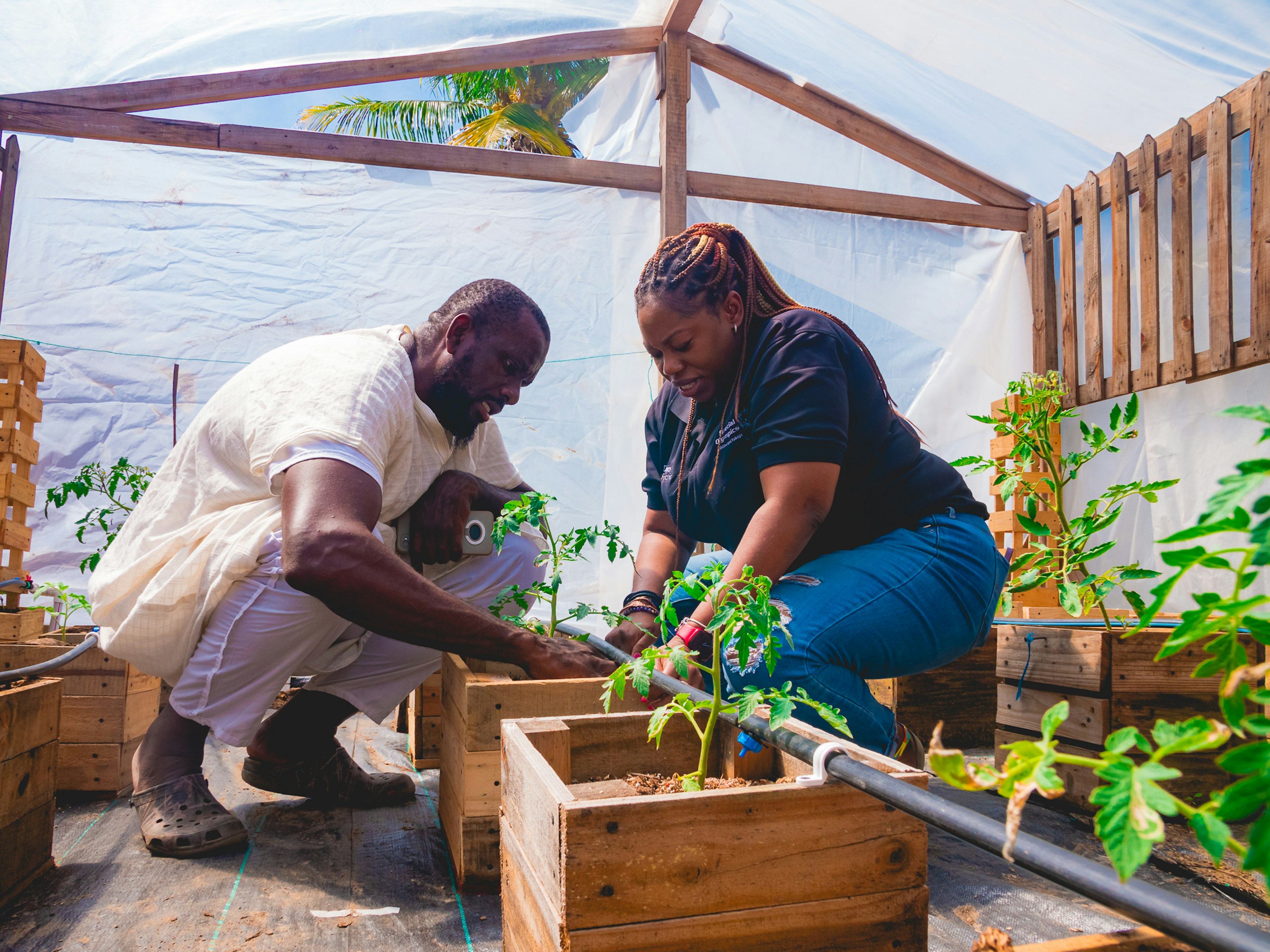Hydroponics using Pallets