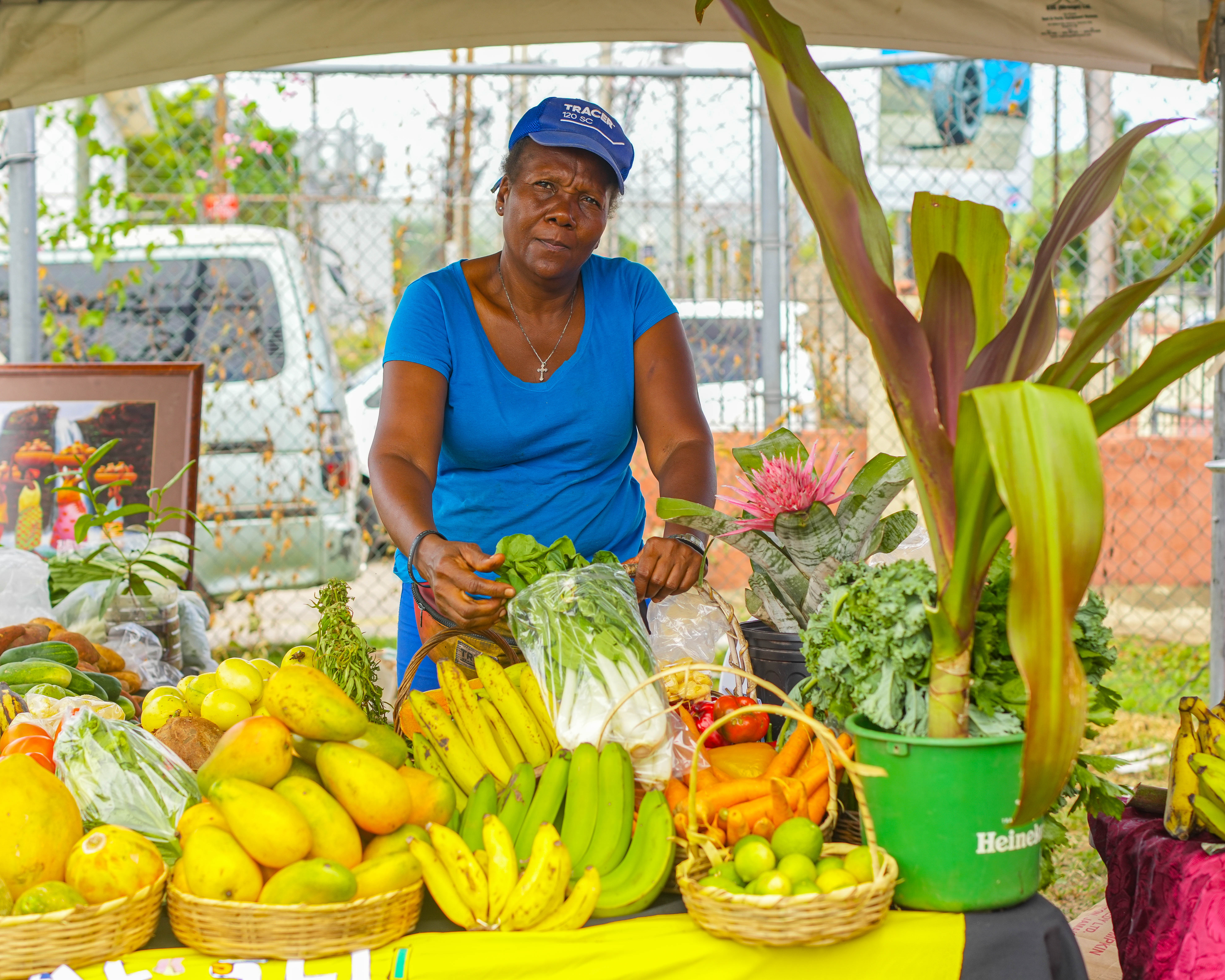woman with food baskets