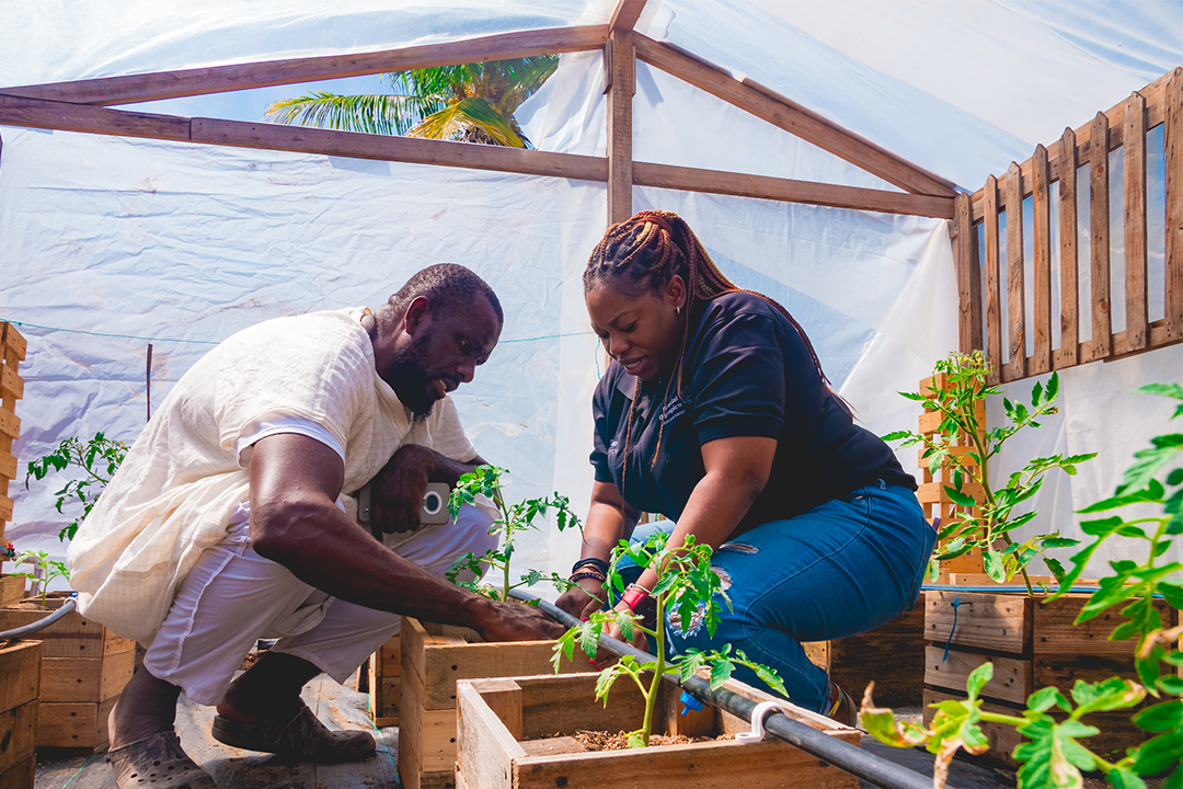 two people gardening near hydroponics unit