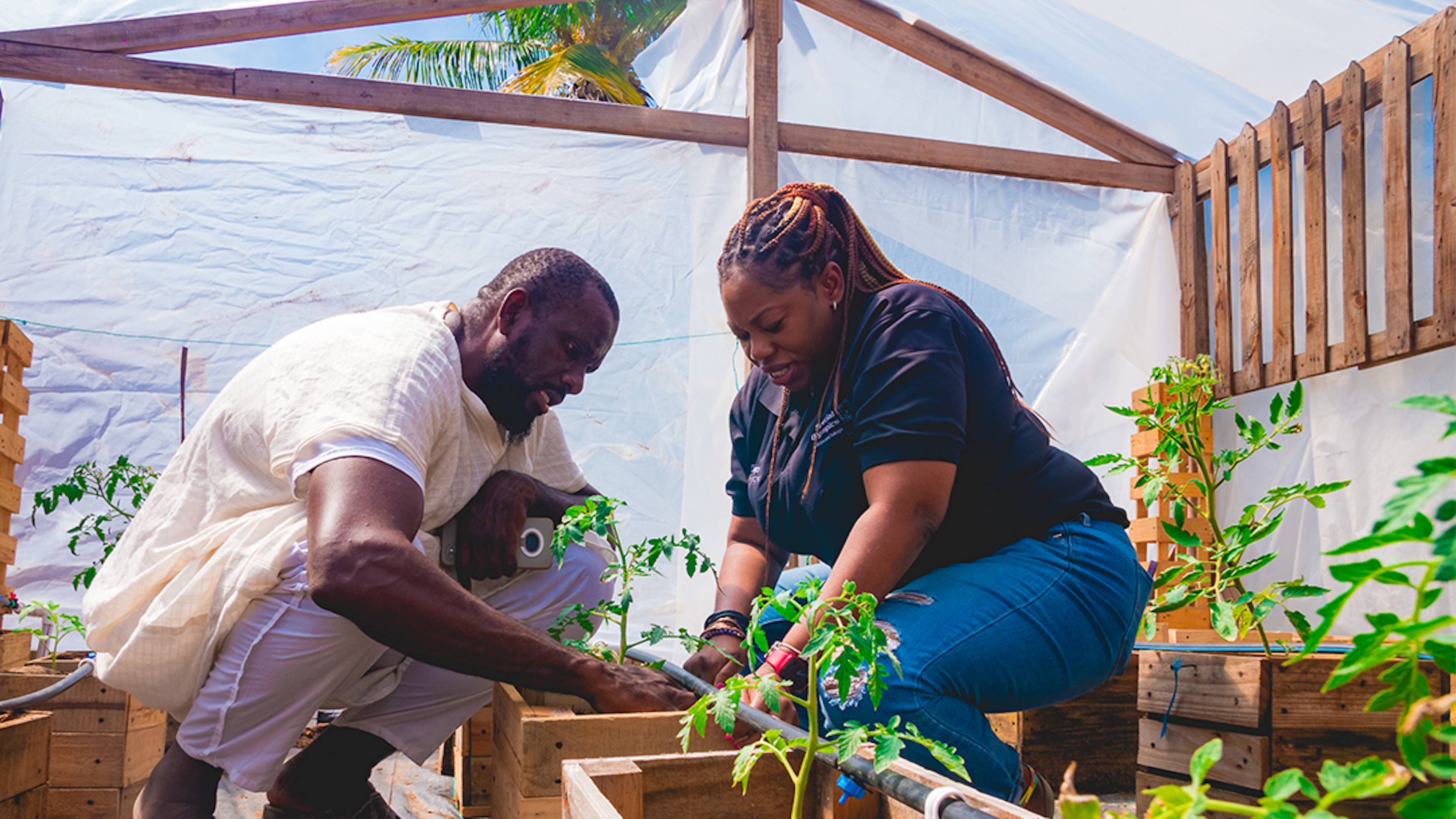 two people gardening near hydroponics unit
