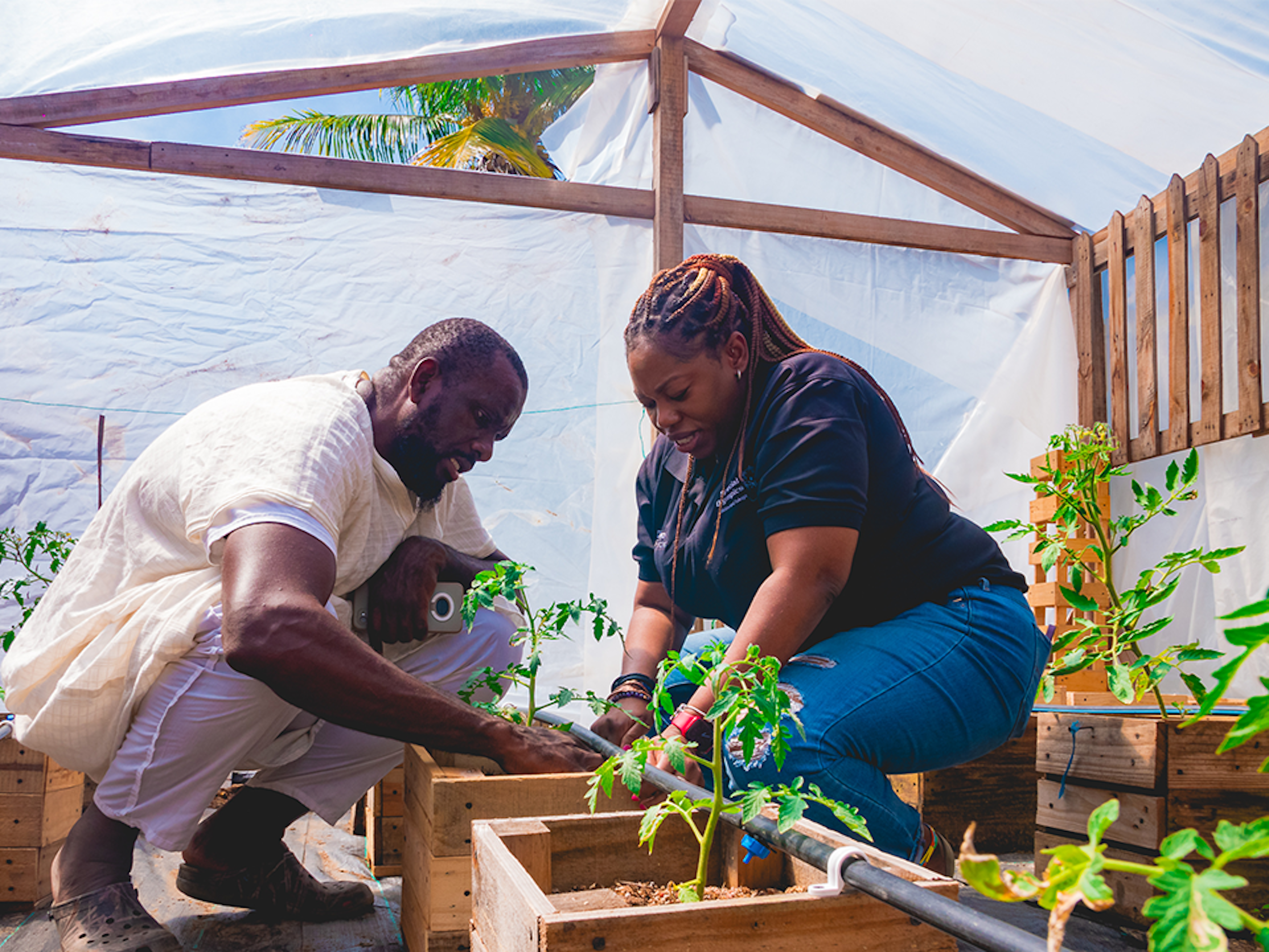 two people gardening near hydroponics unit