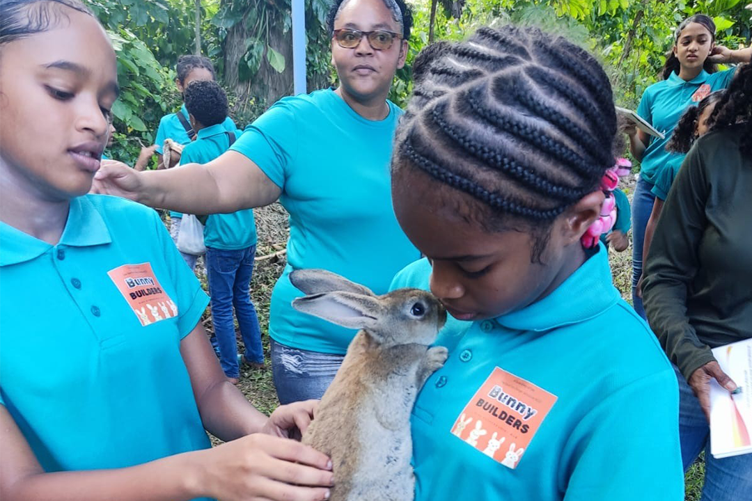 children hug bunny