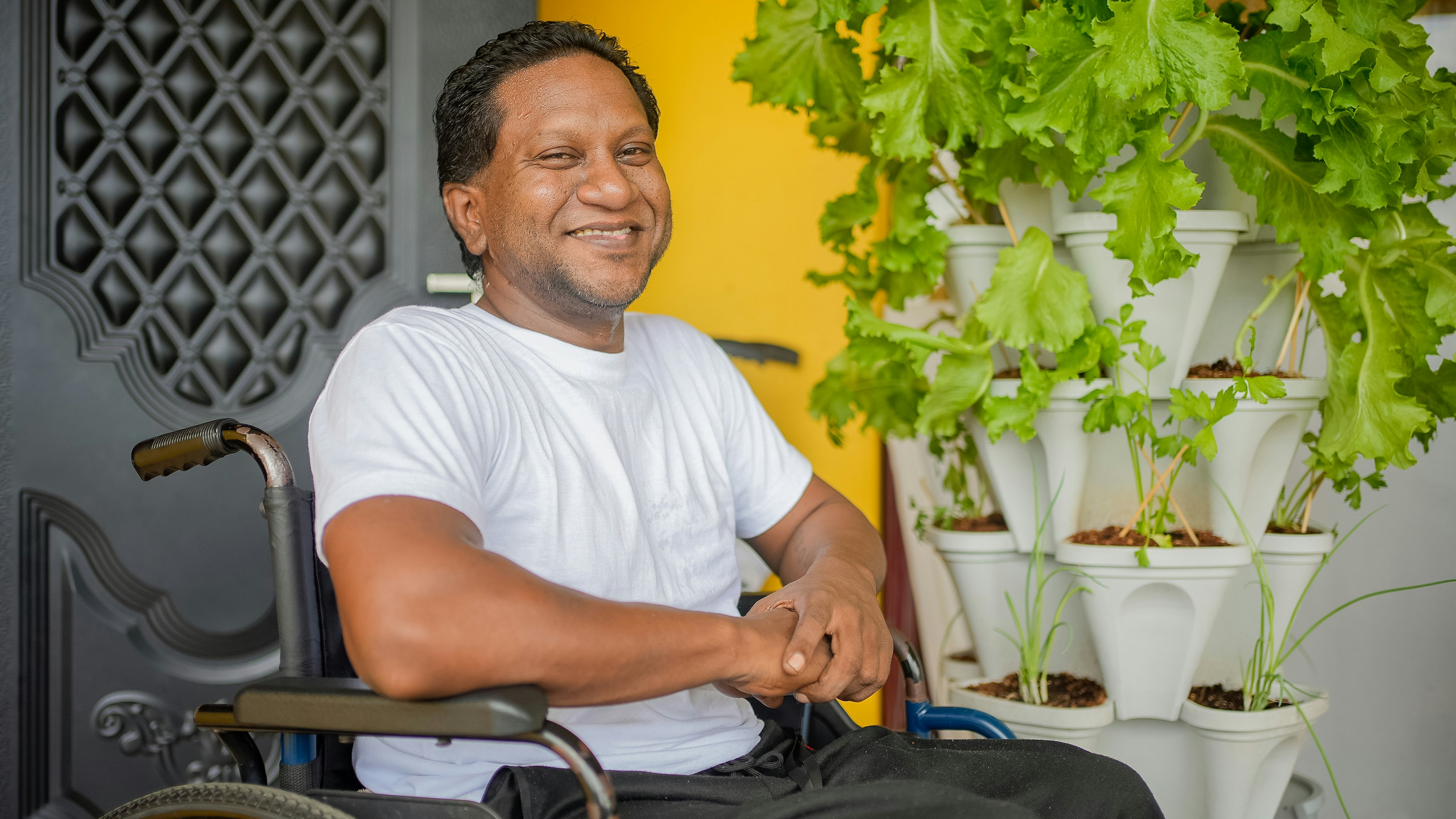 Man in wheelchair next to hydroponics garden