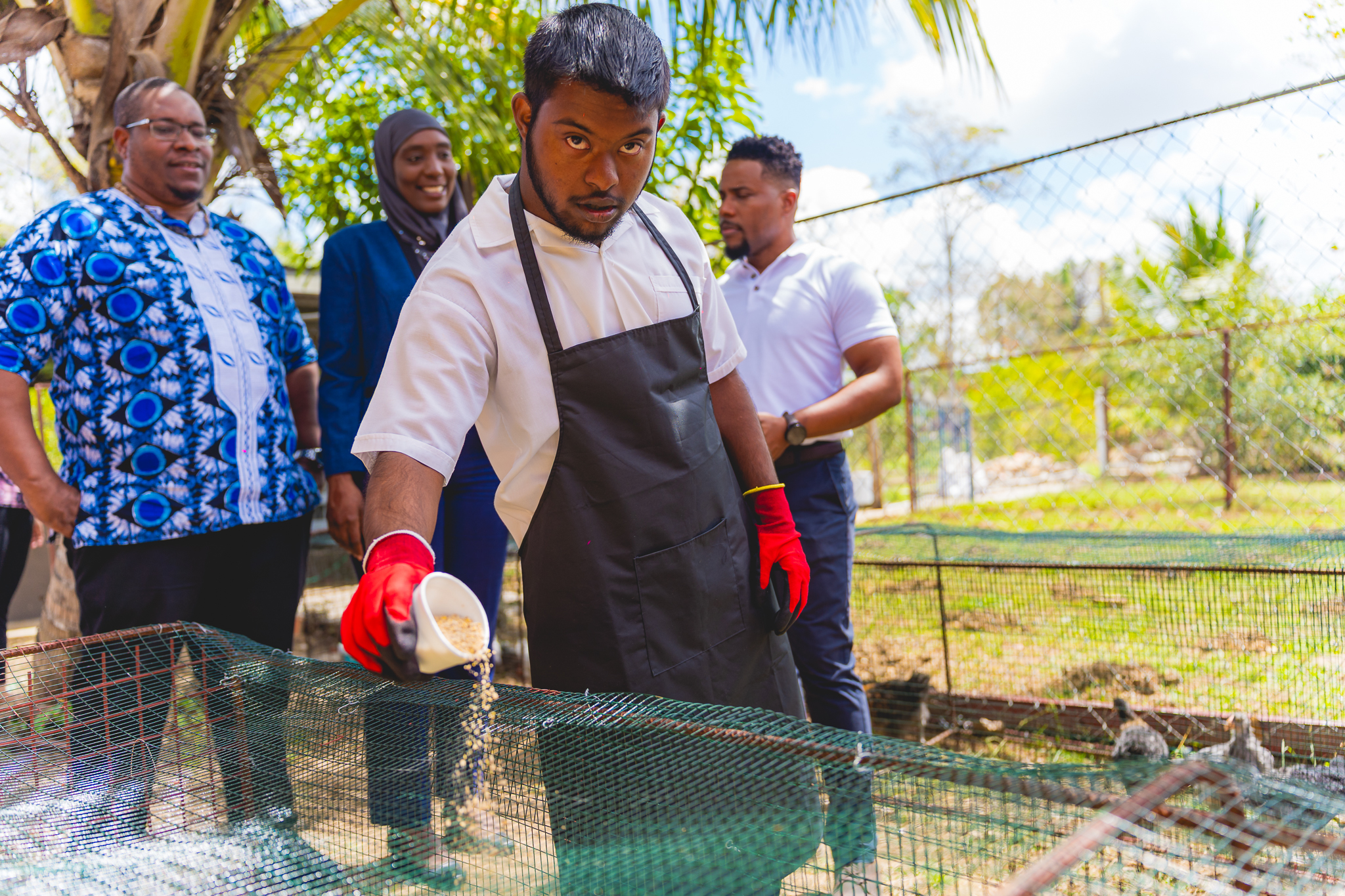 youth feeding chickens