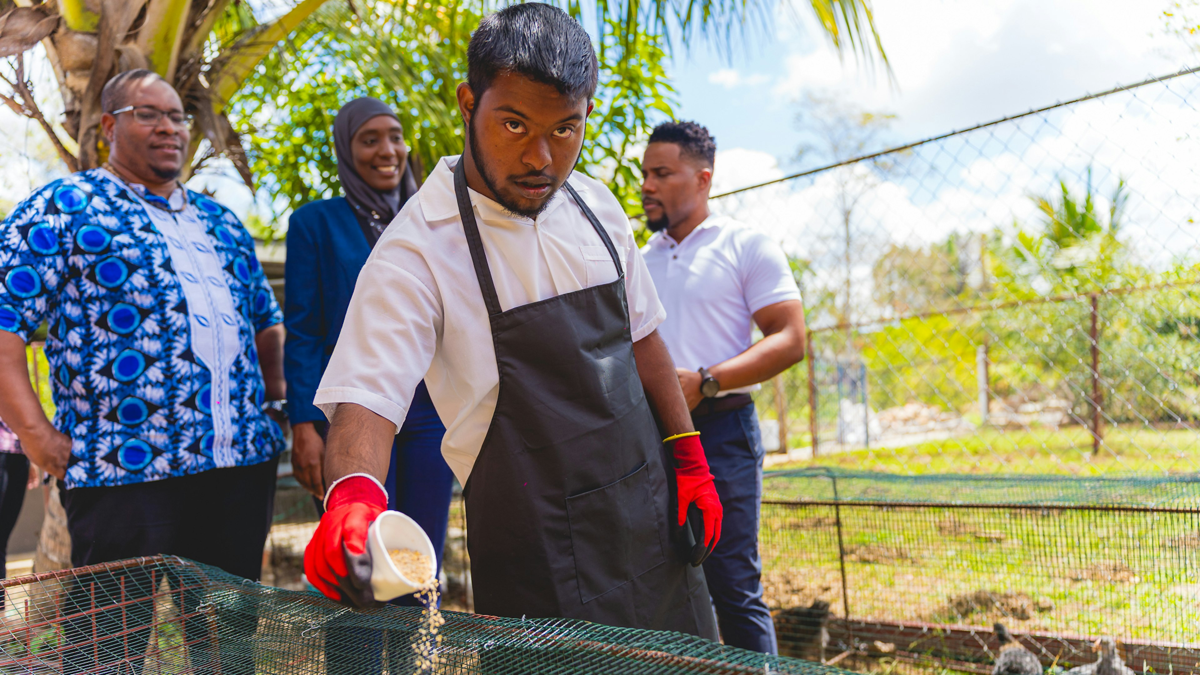 youth feeding chickens