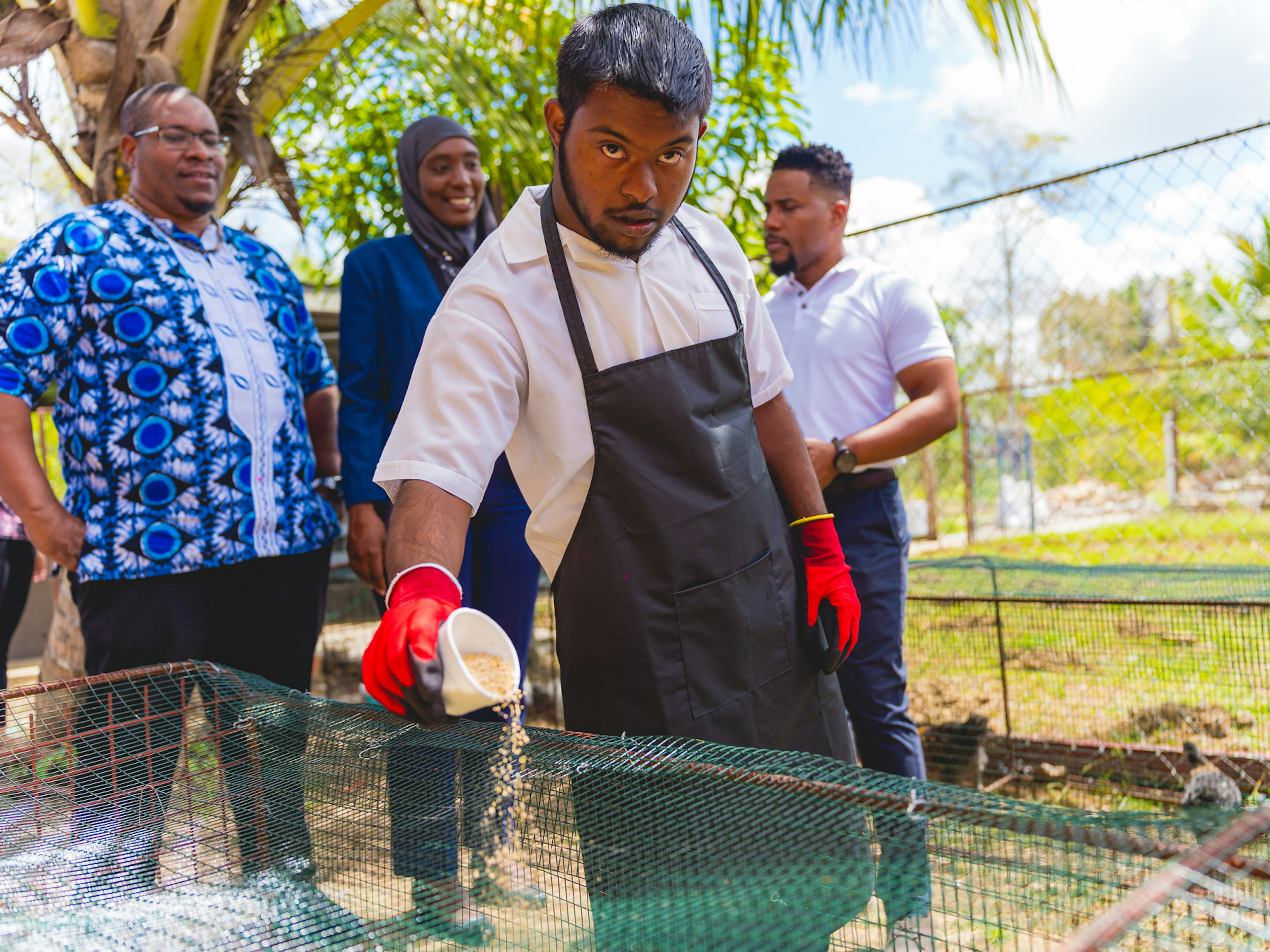 youth feeding chickens