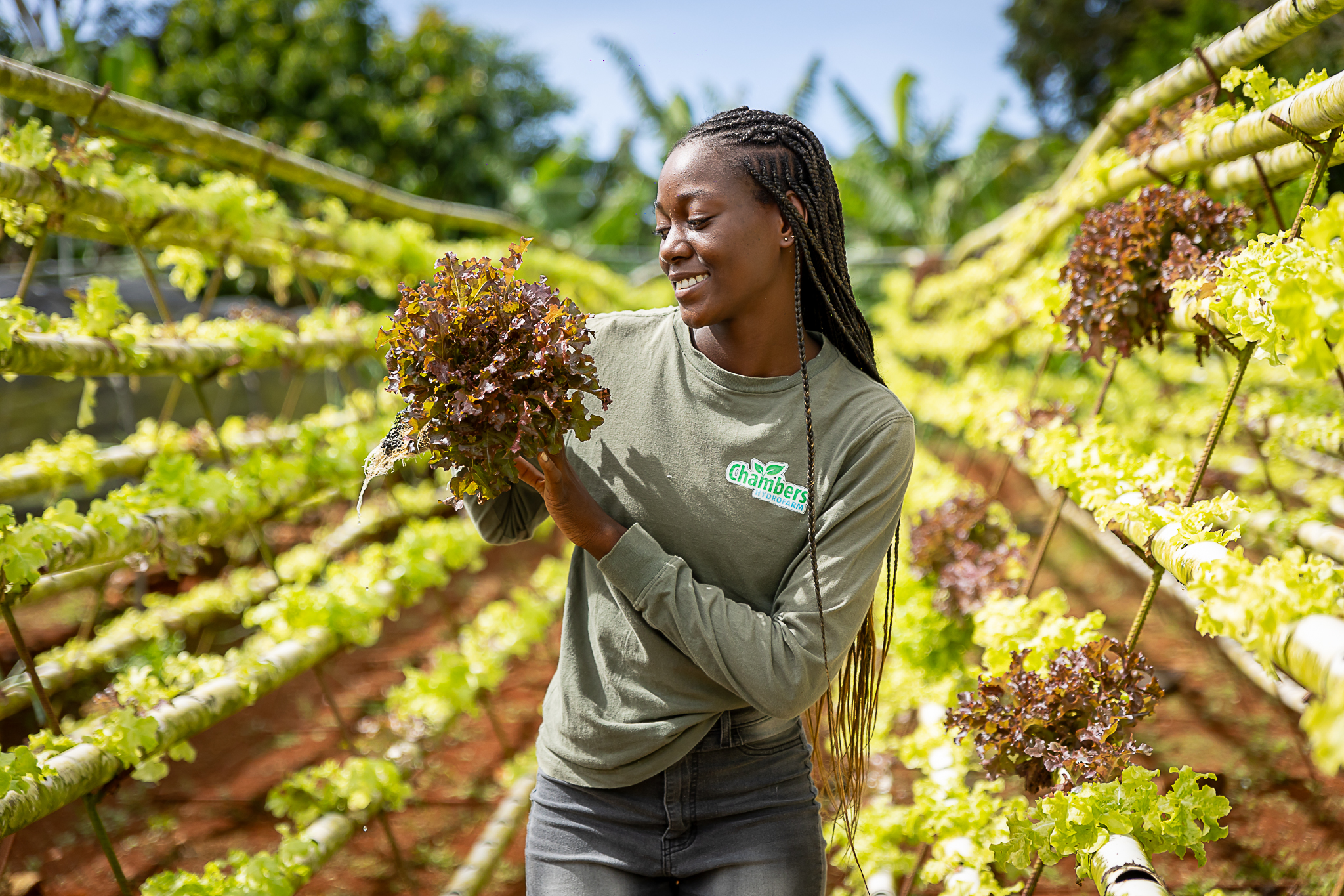 girl holding lettuce