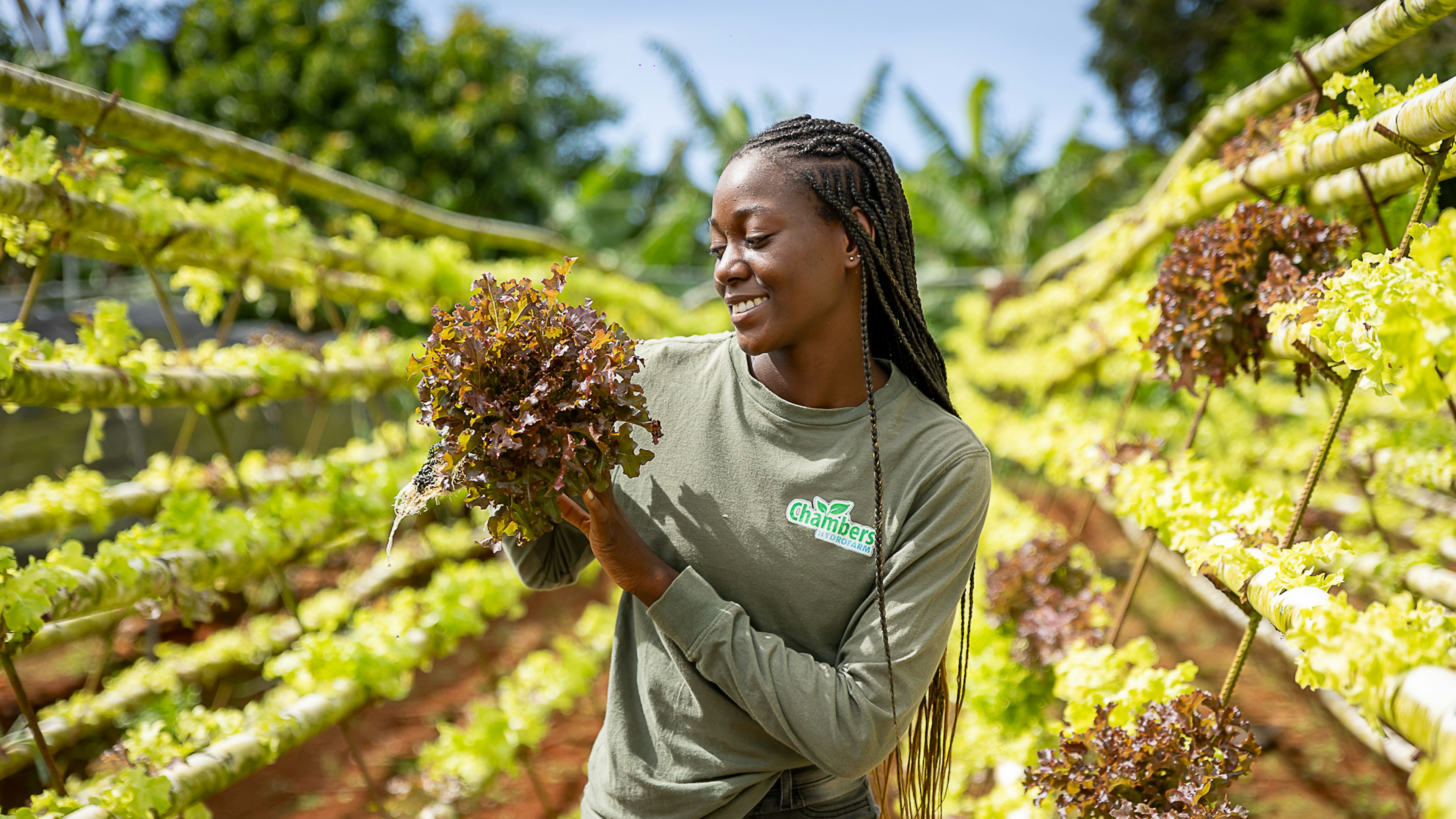 girl holding lettuce