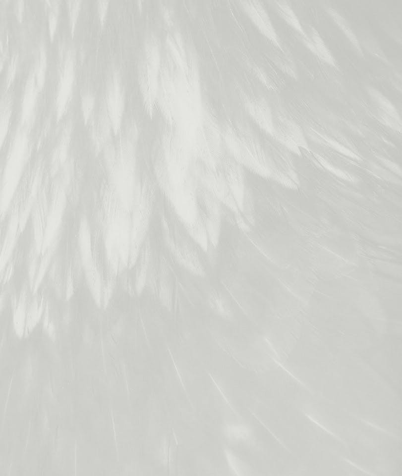aesthetic image