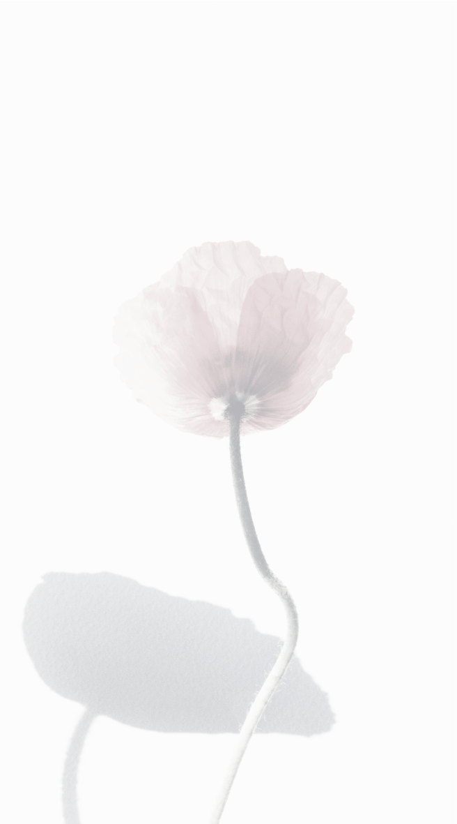 Half flower
