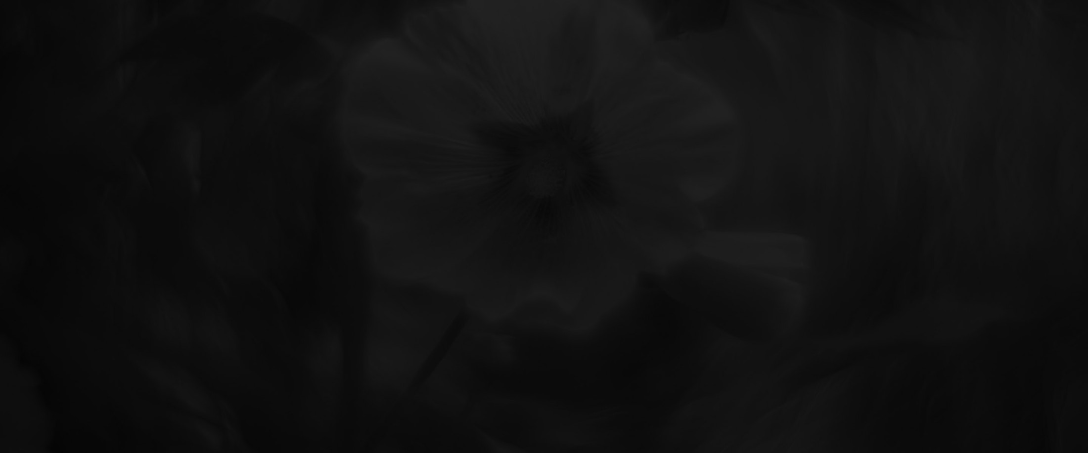Banner media