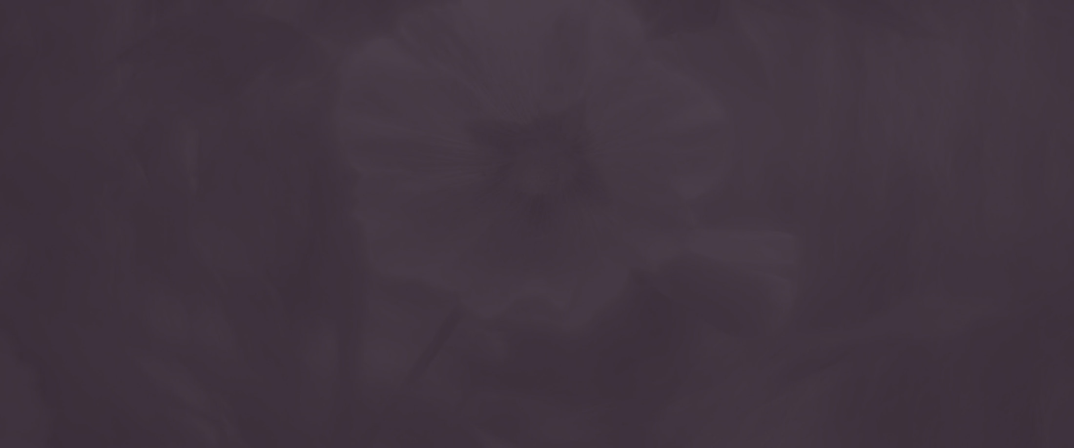 Banner media