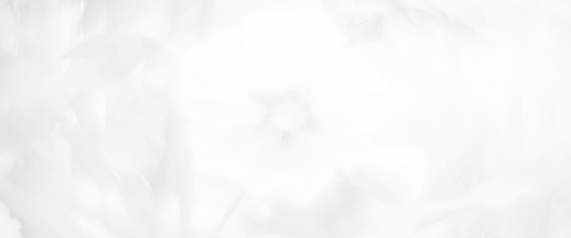 Banner media