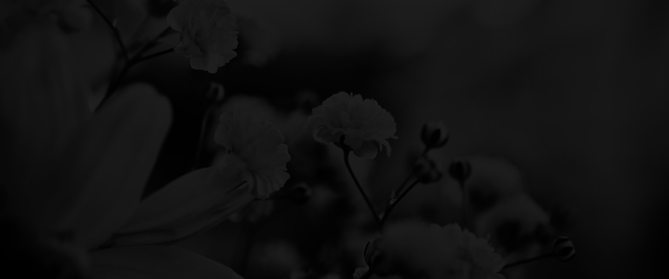 Banner media