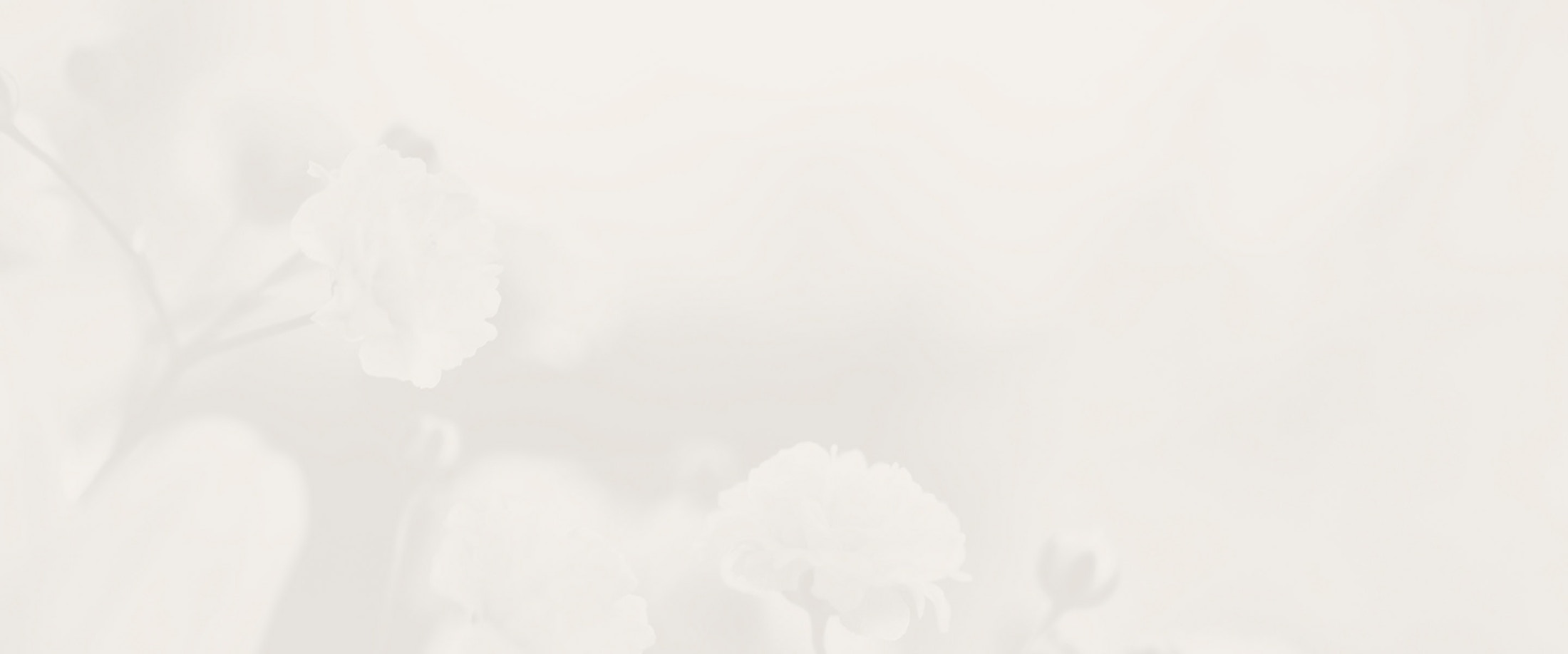 Banner media