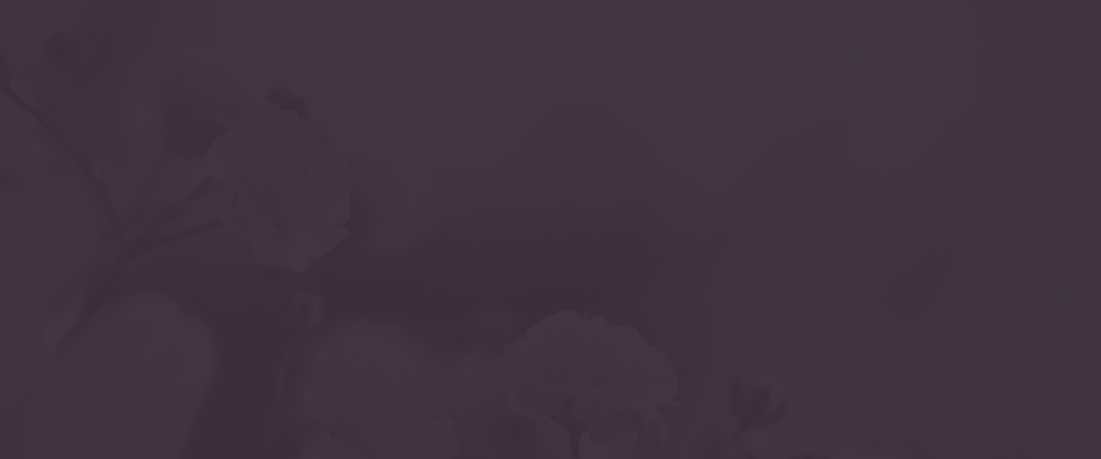 Banner media