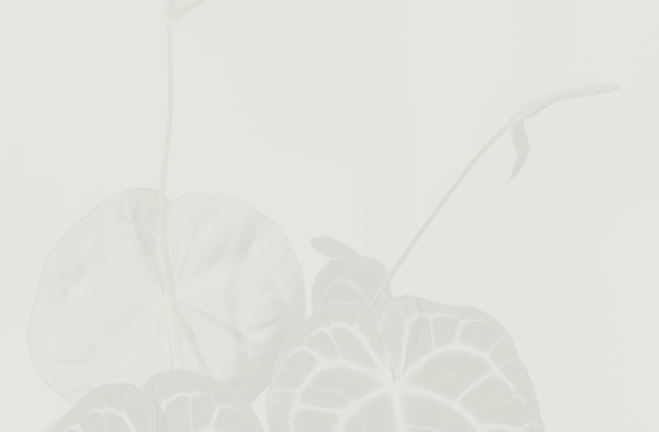 Background media