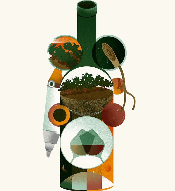 Dinamiche Interpretazioni