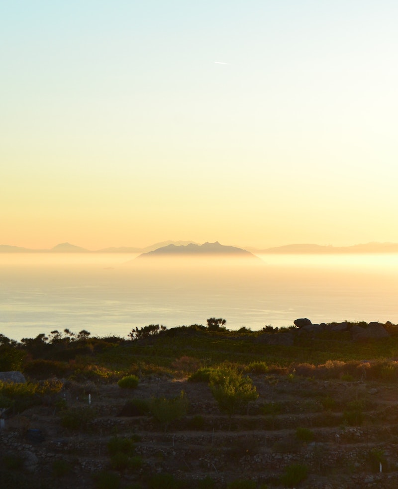 The Vice President of the Tuscany region and the Councilor for Agriculture arrive on Giglio Island