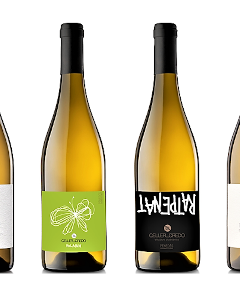 RECAREDO, LA SPAGNA PIU' AUTENTICA