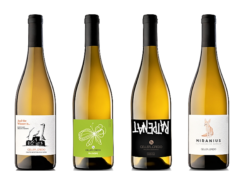 RECAREDO, LA SPAGNA PIU' AUTENTICA