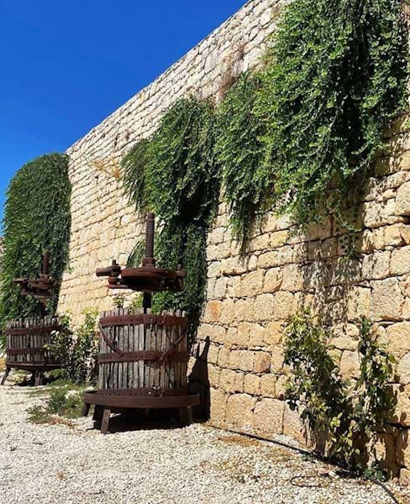 CURTO: VINI DAL SAPORE DI SICILIA, SOLE E MEDITERRANEO