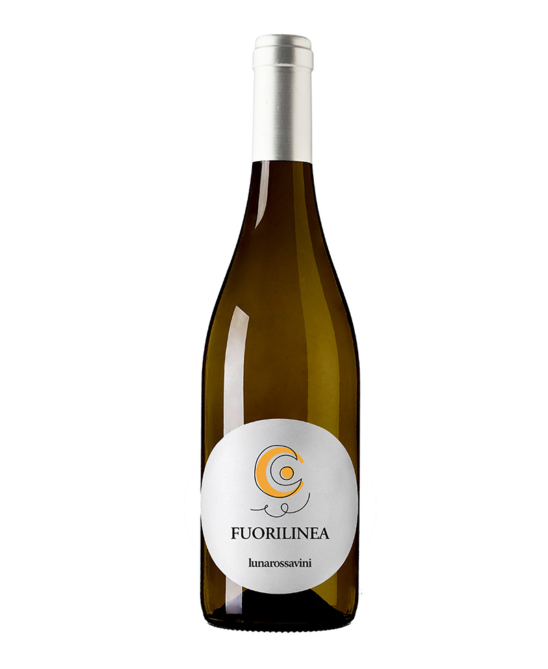 FUORILINEA Orange Wine