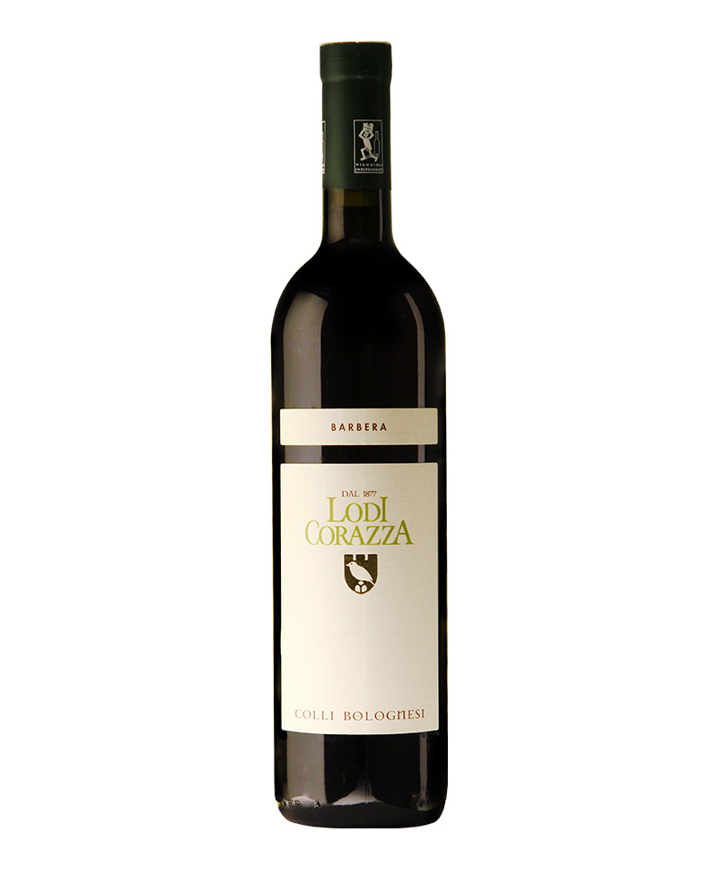 BARBERA COLLI BOLOGNESI