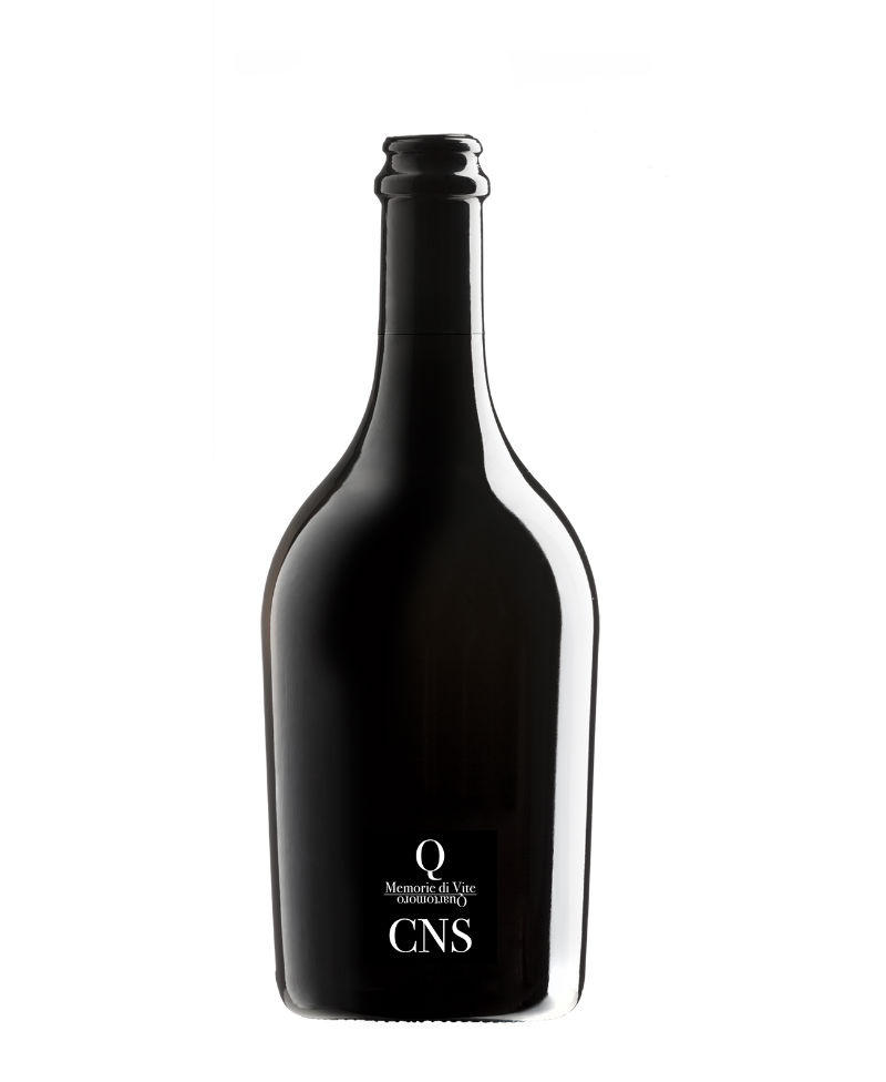 CNS CANNONAU DI SARDEGNA