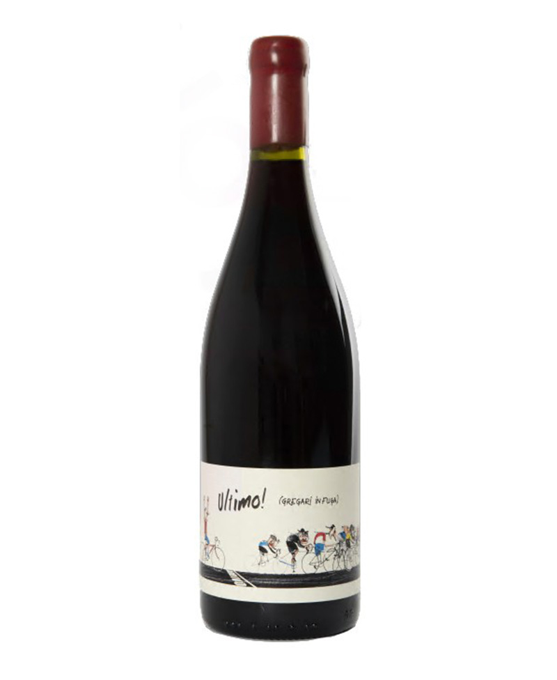 SANGIOVESE TOSCANA Ultimo! Gregari in Fuga