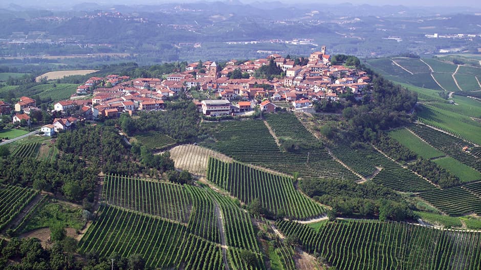 Panorama del borgo di Verduno