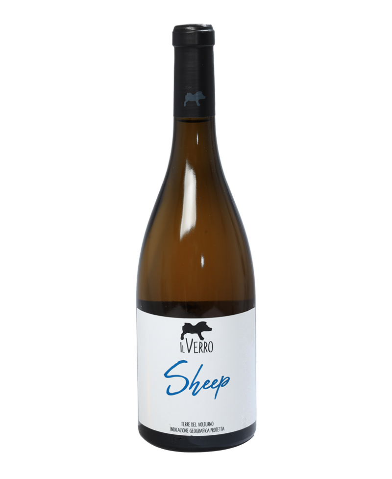 CODA DI PECORA Sheep BIO*