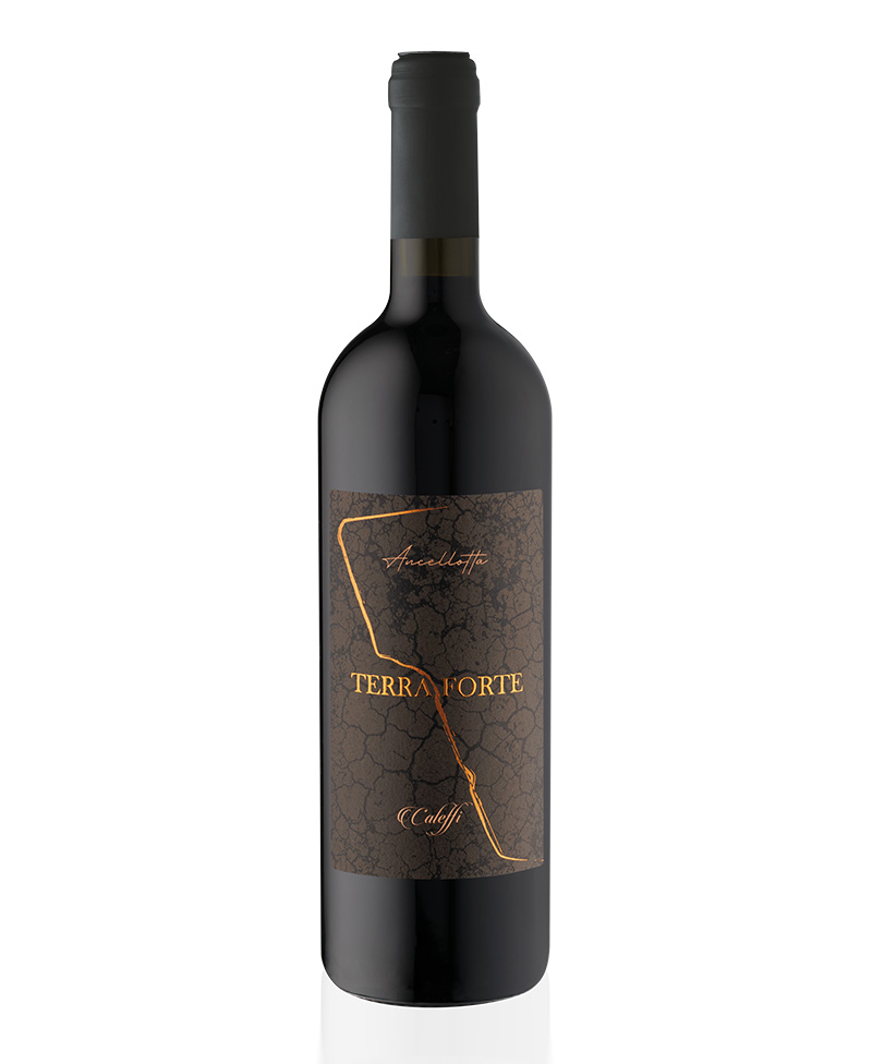 LE REGONE TERRAFORTE Fermo Ancellotta