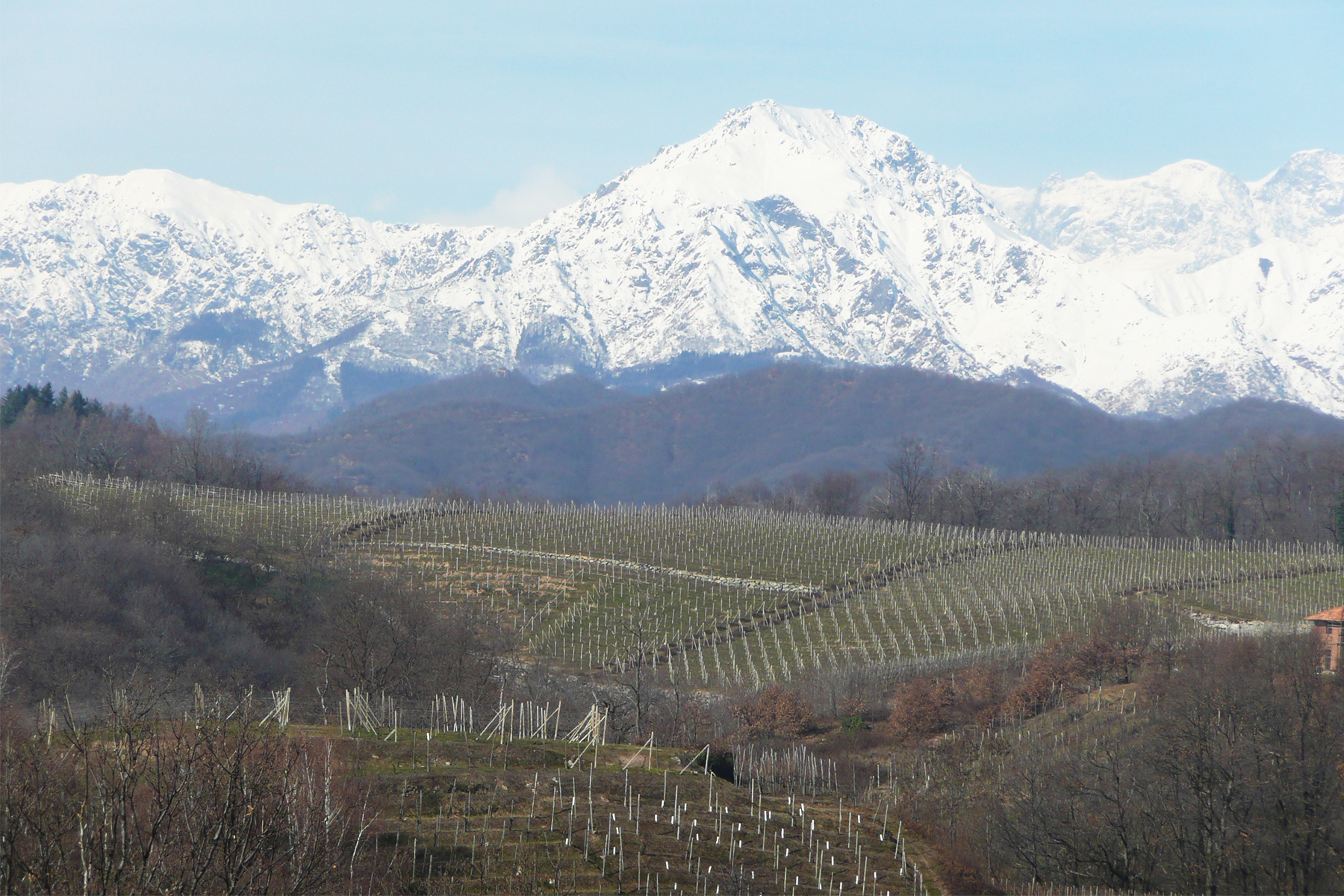 Cantina Travaglini Giancarlo, Gattinara (Vercelli)