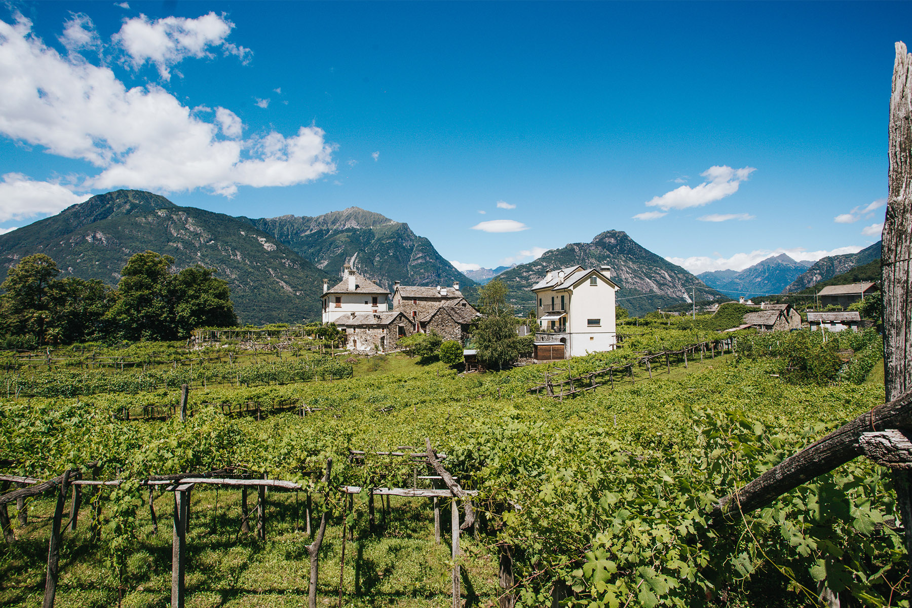 Cantine Garrone, Domodossola