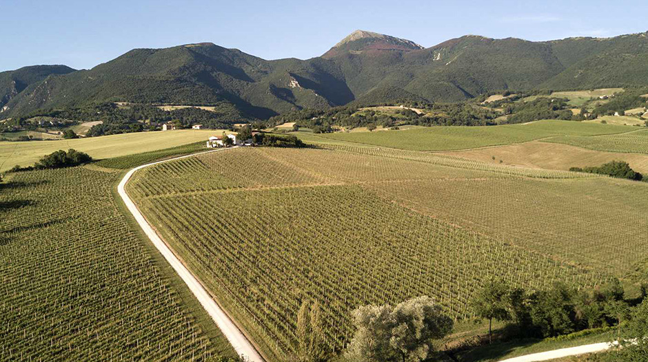 Bisci, Matelica (Macerata)