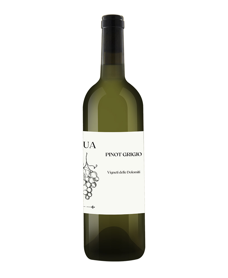 PINOT GRIGIO