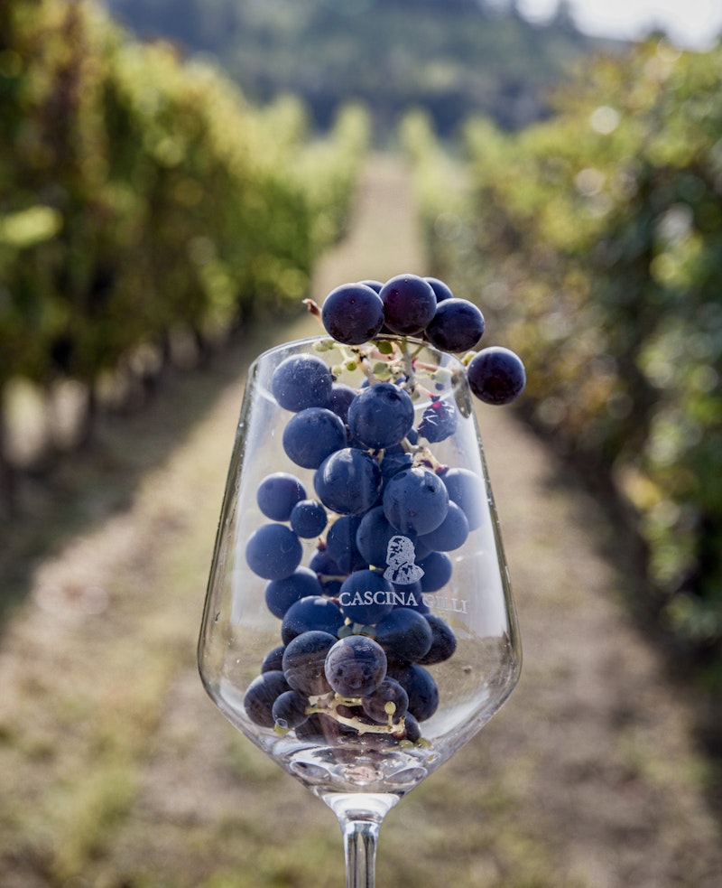 La Malvasia di Schierano e il Metodo Martinotti: un'accoppiata vincente