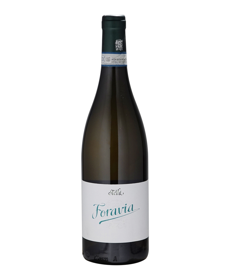 RIESLING Foravia