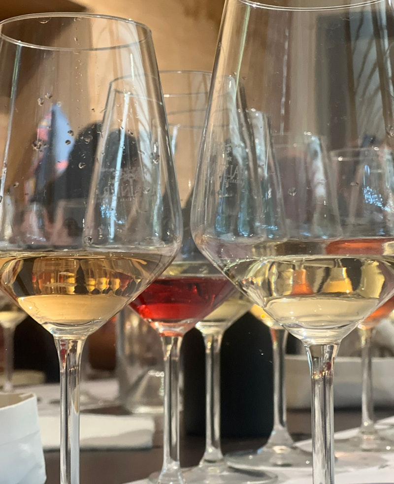 Degustazione tecnica in Cantina Paltrinieri