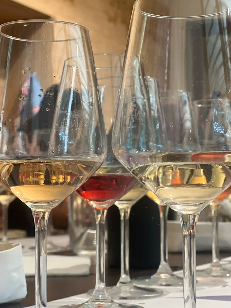 Degustazione tecnica in Cantina Paltrinieri