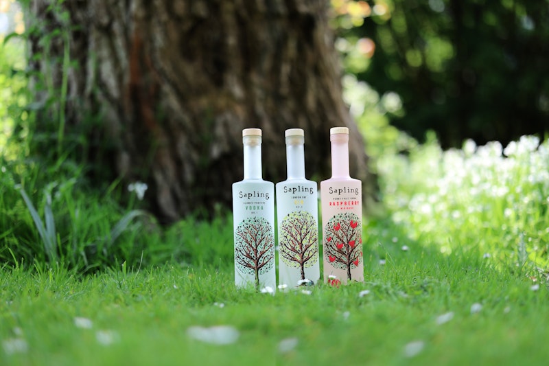 Con Sapling la prima Sustainable Cocktail Competition d'Italia!